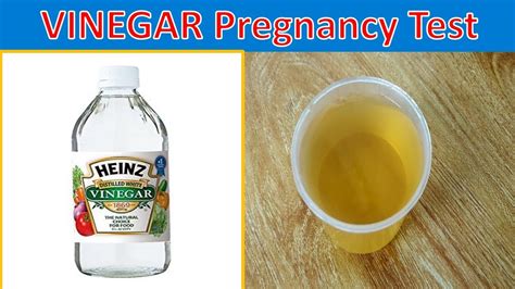 thick bleach pregnancy test|home pregnancy test with vinegar.